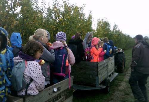 Herbstferienbetreuung Ausflug in die Apfelplantage