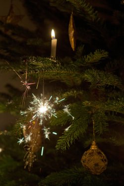 Weihnachtsbaumzweig mit Wunderkerze 