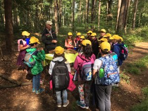 Der Forstbeamte erklärt den Kindern die Wichtgkeit der artenreichen Waldbodenbewohner für die Bäume.