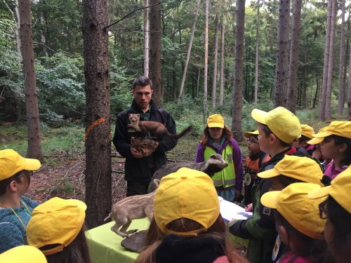 Der Forstbeamte zeigt den Kindern einige Tierpräparate von Waldtieren aus den heimischen Wäldern.