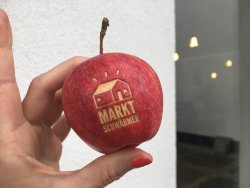 Marktschwaermer Apfel-logo