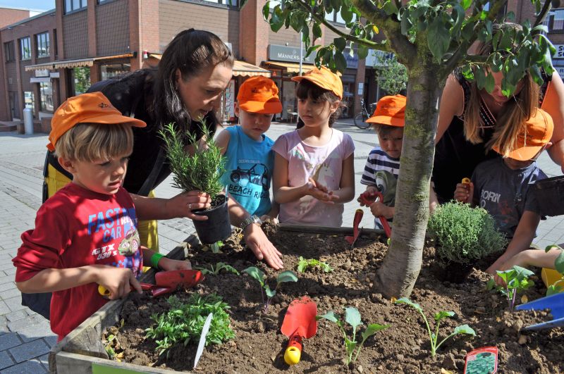 Foto zeigt Sonja Crämer und die Kinder beim Pflanzen von Gemüse, Salat und Kräutern.