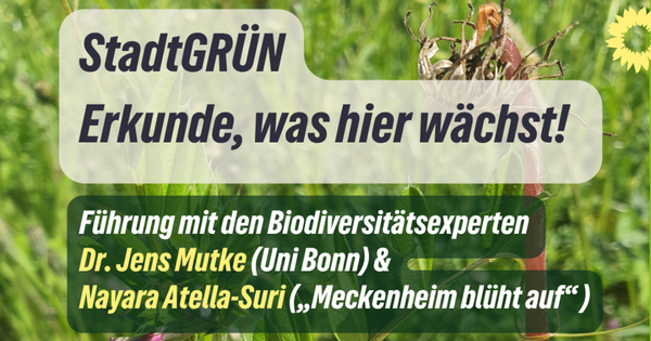 Führung mit Experten