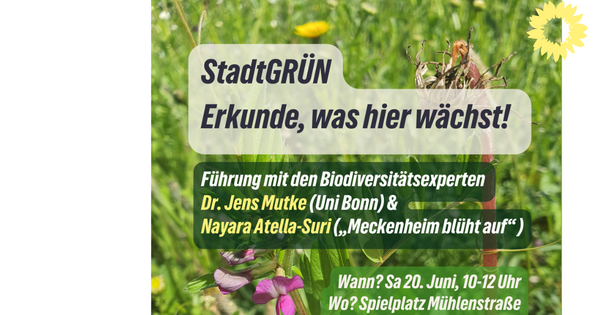 Führung mit Experten