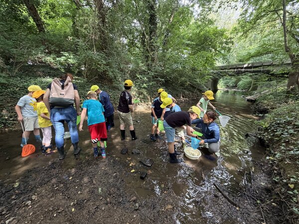 Bild vergr&ouml;&szlig;ern: Mit Keschern, Gummistiefeln und großer Neugier erforschten die Kinder den Lebensraum Bach und sammelten behutsam Wasserlebewesen zur näheren Untersuchung.