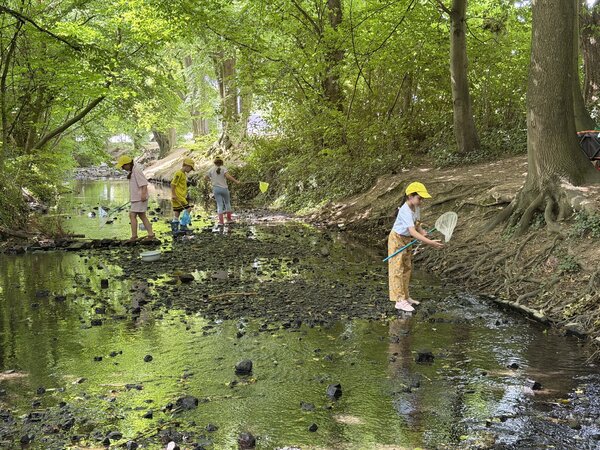 Bild vergr&ouml;&szlig;ern: Konzentriert gingen die kleinen Forscherinnen und Forscher auf Entdeckungstour in der Swist. Mit viel Geduld spürten sie Bachbewohner auf und beobachteten die Vielfalt des Lebens im Wasser.