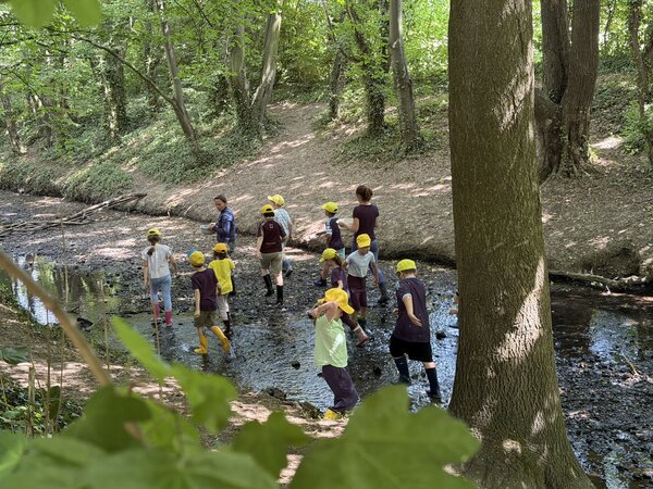 Bild vergr&ouml;&szlig;ern: Nach der gemeinsamen Bestimmung setzten die Kinder alle Wasserlebewesen wieder achtsam an ihren ursprünglichen Fundort in der Swist zurück.