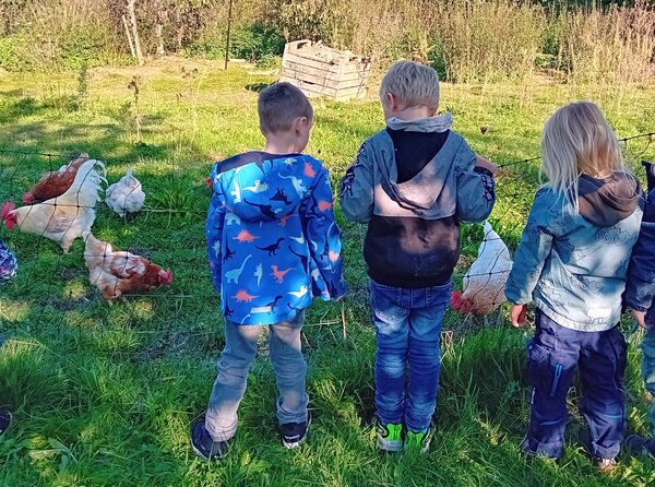Drei Kinder stehen vor dem Tiergehege, in dem sich Hühner befinden.