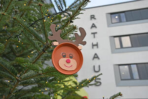 Bild vergr&ouml;&szlig;ern: Weihnachtsbaumzweig vor dem Rathaus 2024